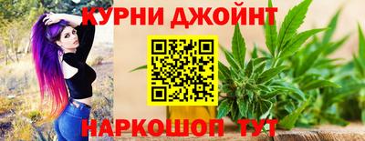 дживик Можга