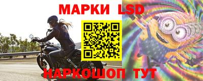 дживик Можга