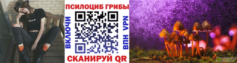 закладка Прокопьевск Псилоцибиновые грибы ЛСД